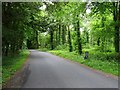 The drive to Penrhyn Castle