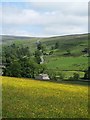 Summer meadow, Arkengarthdale