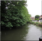 SU4667 : River Kennet, Newbury by Jaggery
