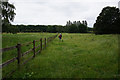 Path leading to Sandall Beat Wood