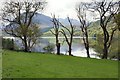 NY1222 : The North East Shore Of Loweswater by Peter Jeffery