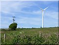 Wind turbine and electricity pole