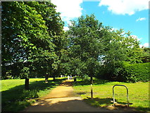 TQ1782 : Pitshanger Park, near Ealing by Malc McDonald