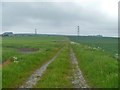 Ascending Roundway Hill