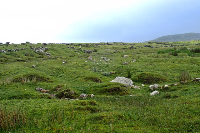 Abandoned potato ridges © Mick Garratt :: Geograph Ireland