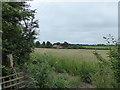 Looking towards Grange Farm