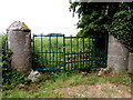 Plastered round pillars, Ballynalargy