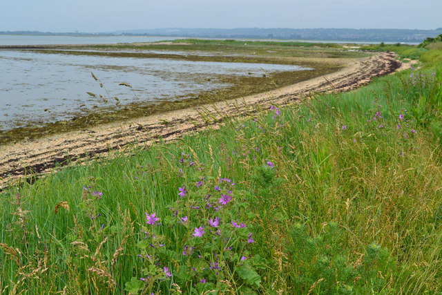 On the shore at West Hayling Nature Reserve