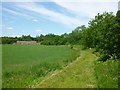 Footpath near Morton Mill