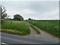 Bridleway meet the road