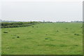 Footpath to Tewkesbury