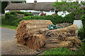 Thatching straw, North Bovey