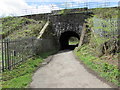 East side of a railway bridge, Tir-y-berth