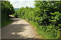 Lane from Peartree junction