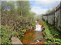 Rust-coloured stream in Tir-y-berth