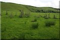 Farmland near Ty-newydd