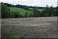 A bare field near Ty-newydd