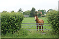 Being watched at Hardwicke