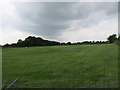 Field near Northallerton