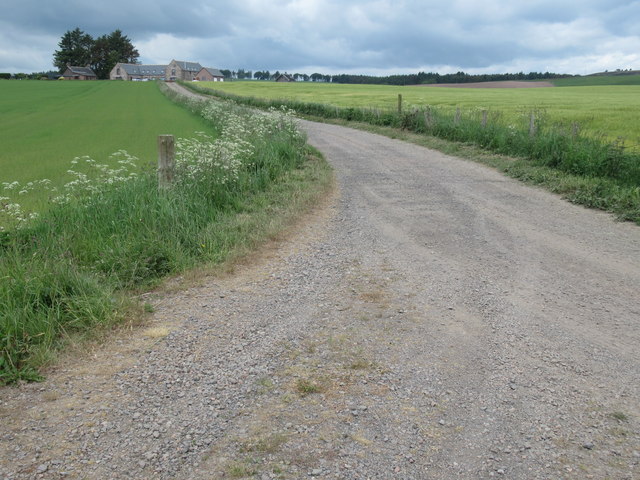 Road to Spittalmyre near Laurencekirk