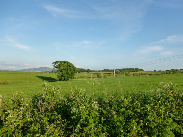 Farmland by the Kirkfield Burn