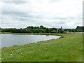 Lake at Bell Moor Farm