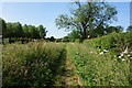 Bridleway towards Howsham