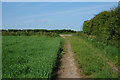 Bridleway comes out onto the B1434 at Howsham