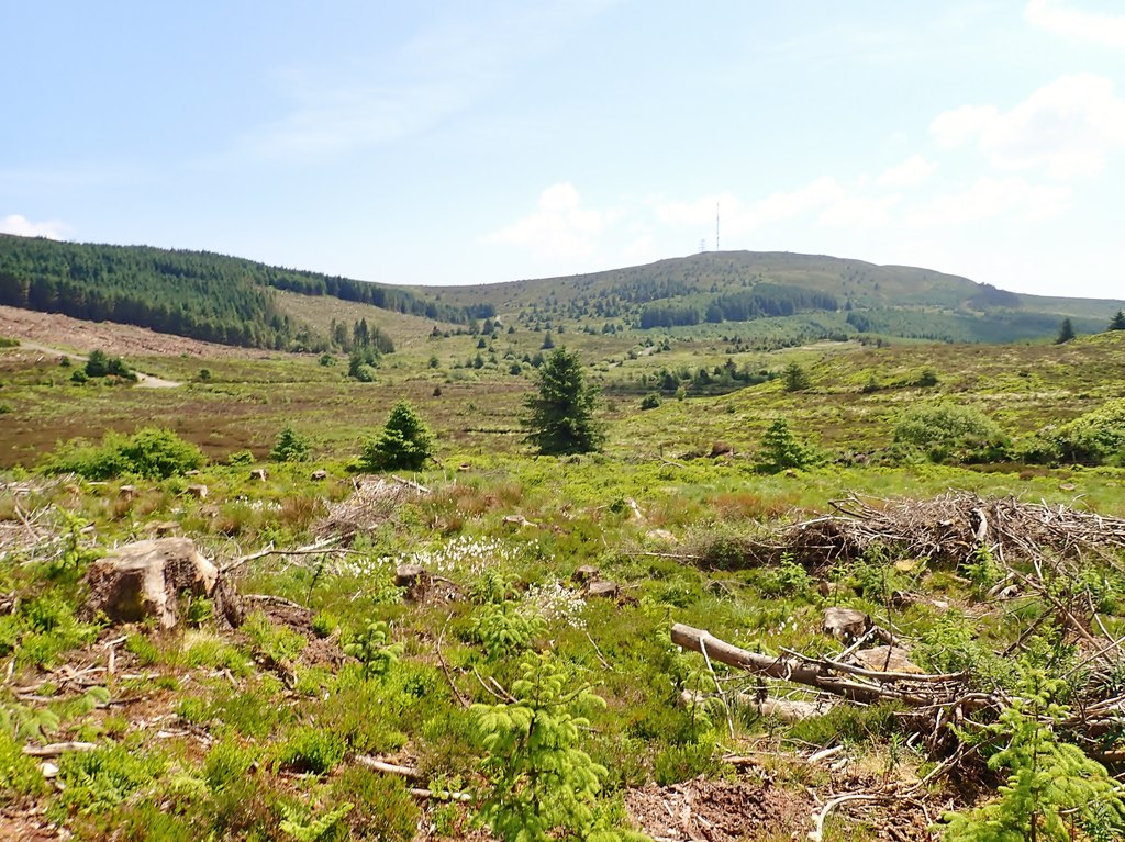 Cut over forest on former war time... © Eric Jones cc-by-sa/2.0 ...