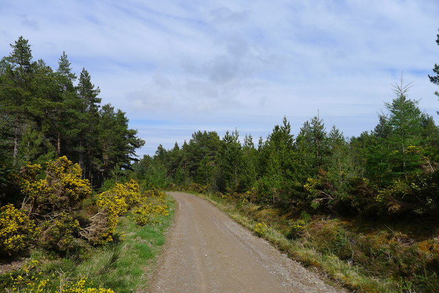 The John O'Groats Trail through Easter Lamington Wood