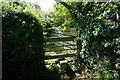 Path leading to Cadney Road, Howsham