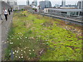 Roof garden, One Wood Street, City of London