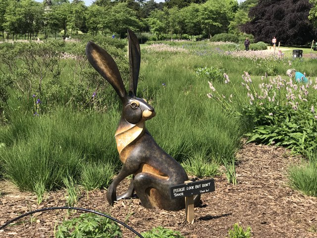 Bronze hare at Trentham Gardens