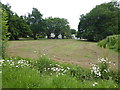 Green space next to Molehill Road