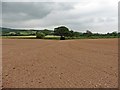 ST4848 : Field on Rough Moor by Roger Cornfoot