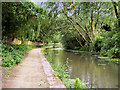 Manchester, Bolton and Bury Canal near Scotson Fold