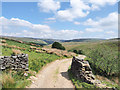 Farm road on north side of Swaledale