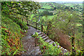 W0929 : Path up Knockomagh Hill by Mick Garratt
