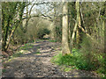 Path towards Broadmare Common