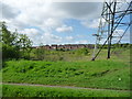 Houses in Macdonald Close, Tividale