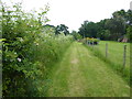 Footpath from Tyler Hill Road