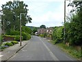 Baulk Lane, Stapleford