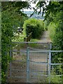 Entering Stapleford Cemetery