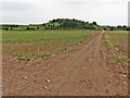 ST4947 : Track towards Chalcroft Hill by Roger Cornfoot