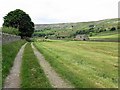 Footpath north of Reeth Bridge