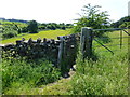 Squeeze stile on path to Cocker Hill Farm