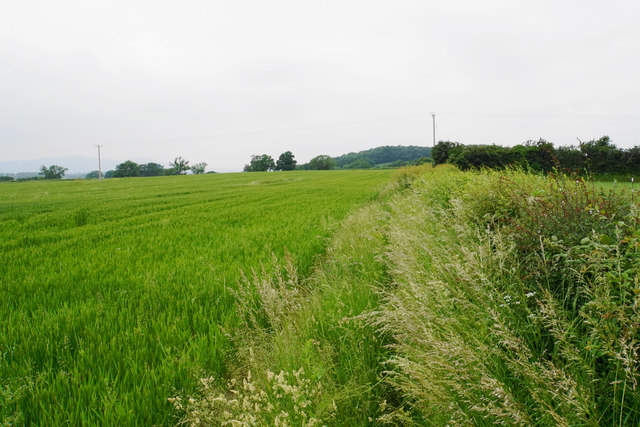 Field-edge path near Earl's Croome