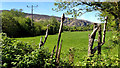 W0360 : Pasture, Borlinn Valley by Mick Garratt