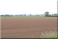 SO8442 : Seeded field near Upton-upon-Severn by Bill Boaden