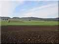 Patchwork of fields at Kinnochtry